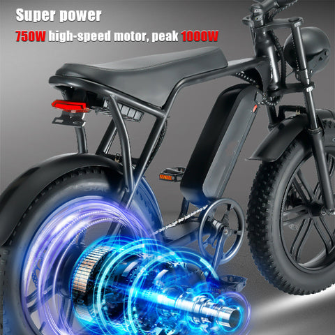 20 Inch 48 V Power Bicycle Fat Tire Snow